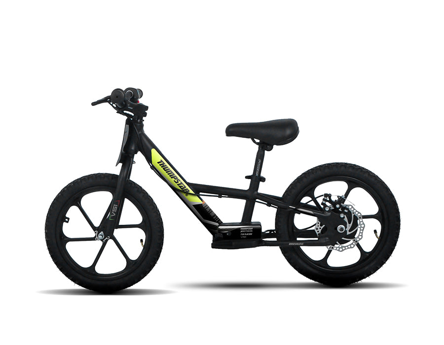 TSE16 Electric Balance Bike thumbnail 2